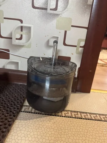 Фонтан для кошек - Аксессуары для животных в Бутово