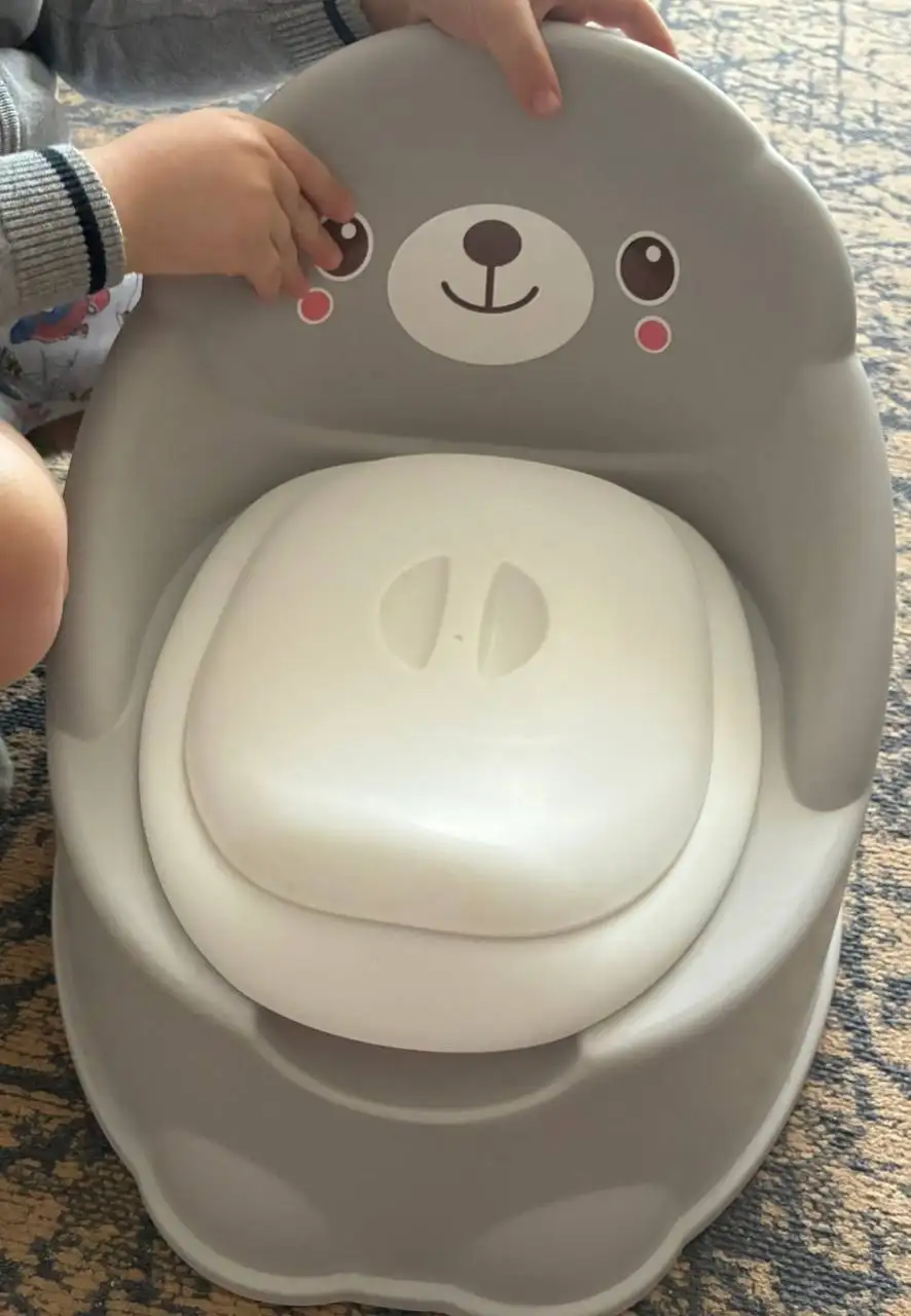 Детский горшок-кресло Potty chair - Детская гигиена (Товары для детей) в Бутово