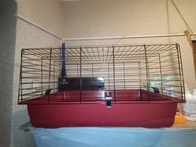 Отдам даром клетку для животных с аксессуарами - Аксессуары для животных в Бутово