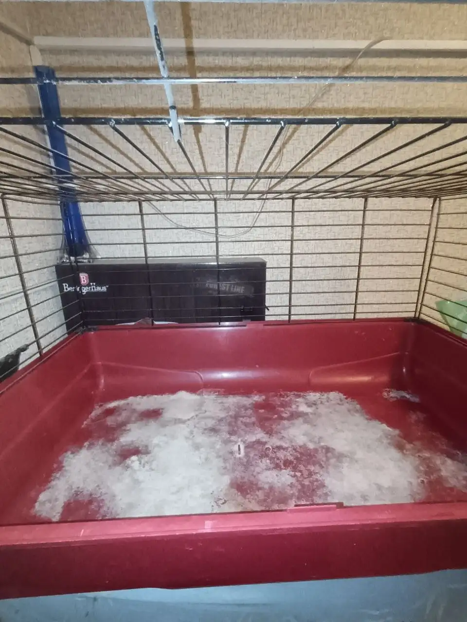 Отдам даром клетку для животных с аксессуарами - Аксессуары для животных (Животные) в Бутово