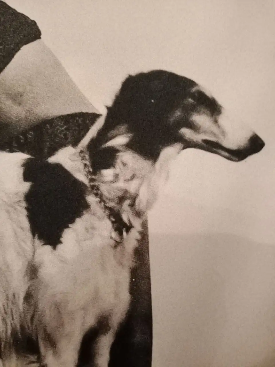 Постер фото на холсте концептуальный - Искусство и декор (Барахолка) в Сходненская