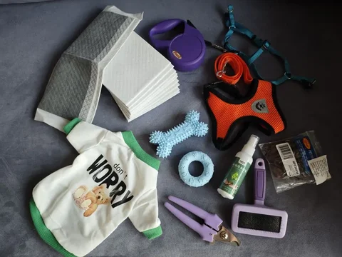 Все для щенка или собаки мелкой породы - частное объявление в Бутово