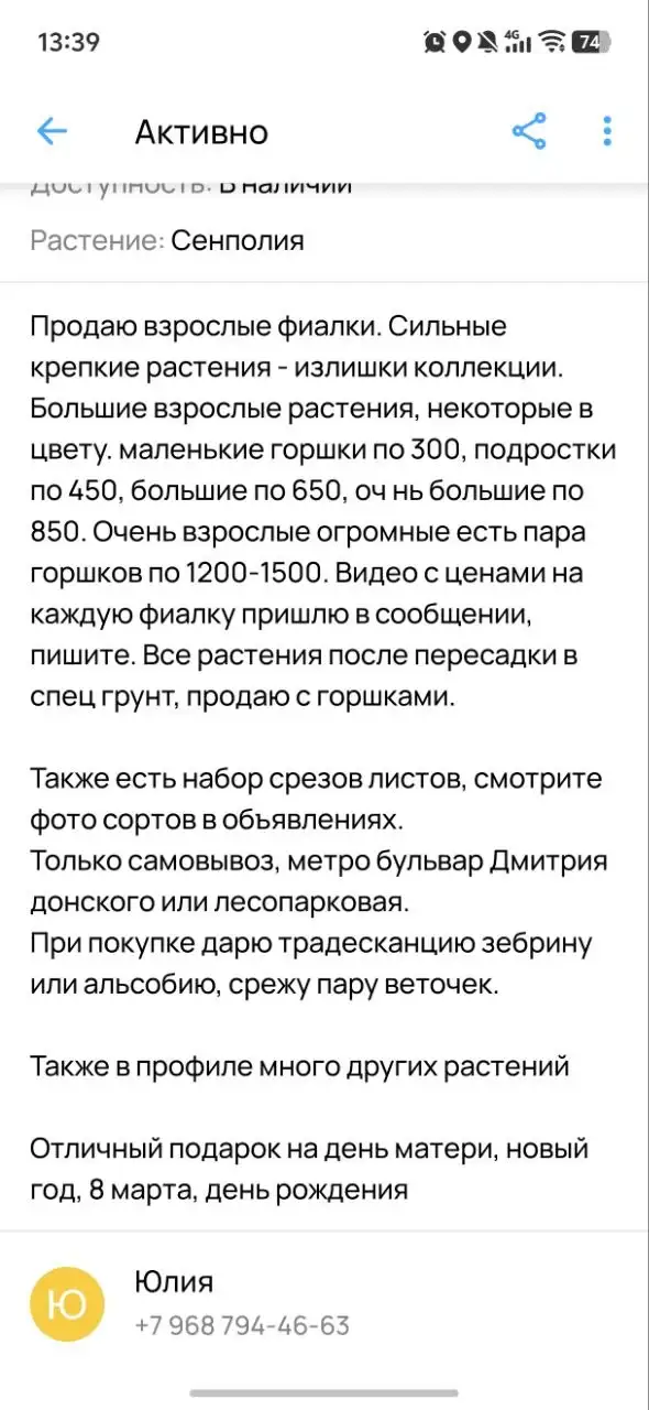 Продажа сортовых фиалок с горшками и грунтом - Растения (Хобби и отдых) в Северное Бутово