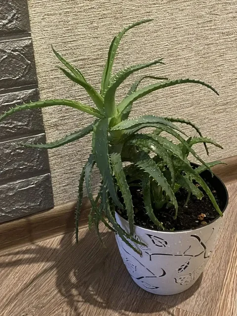 Продажа различных товаров в Дрожжино - Барахолка в Дрожжино