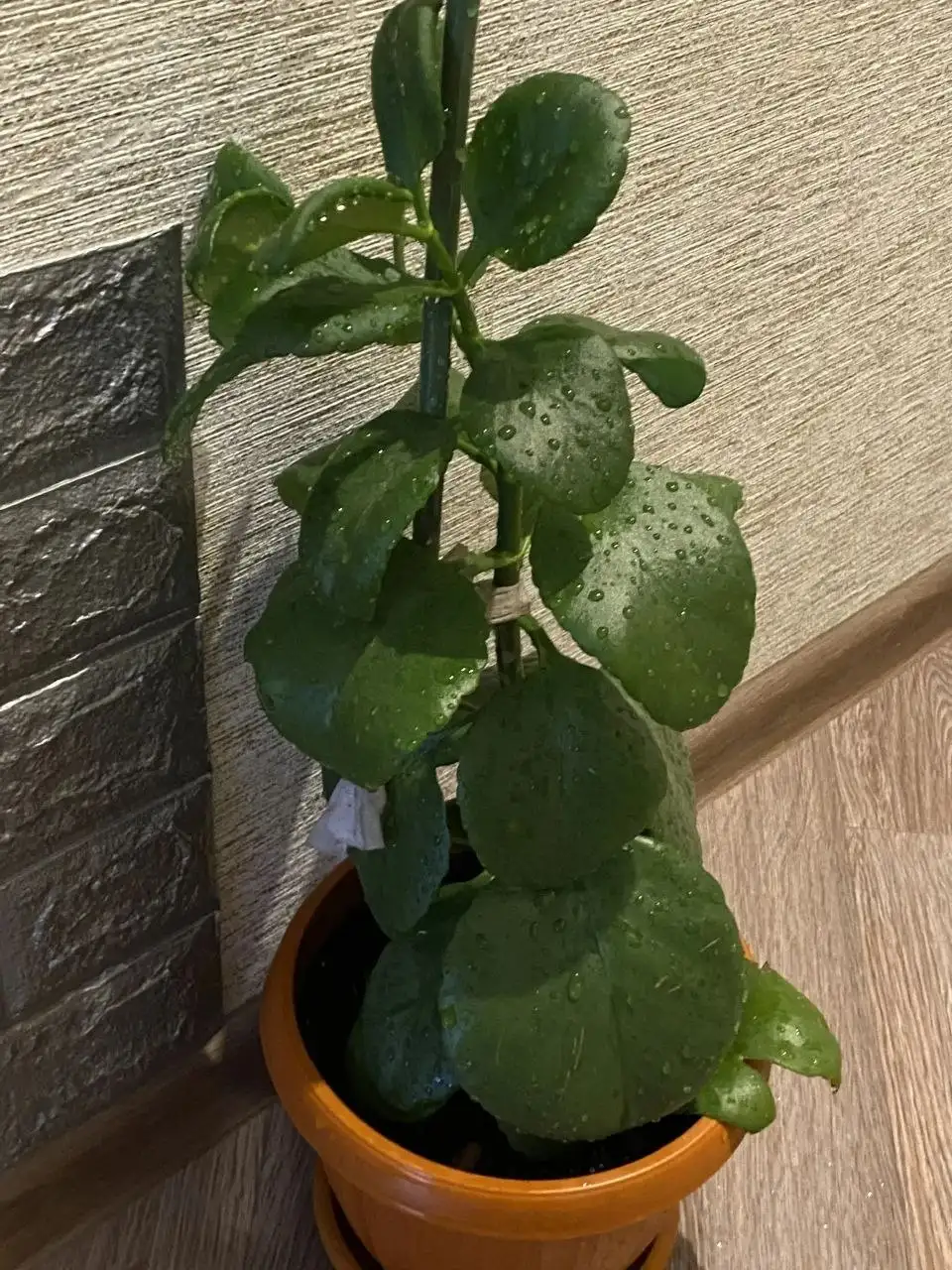 Продажа различных товаров в Дрожжино - Барахолка в Дрожжино