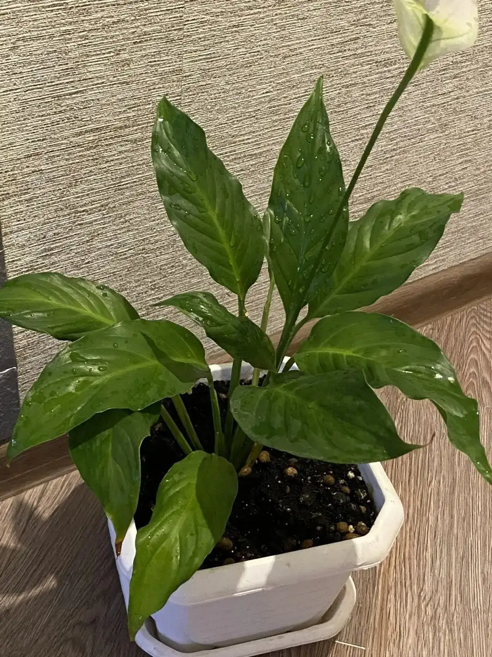 Продажа различных товаров в Дрожжино - Барахолка в Дрожжино