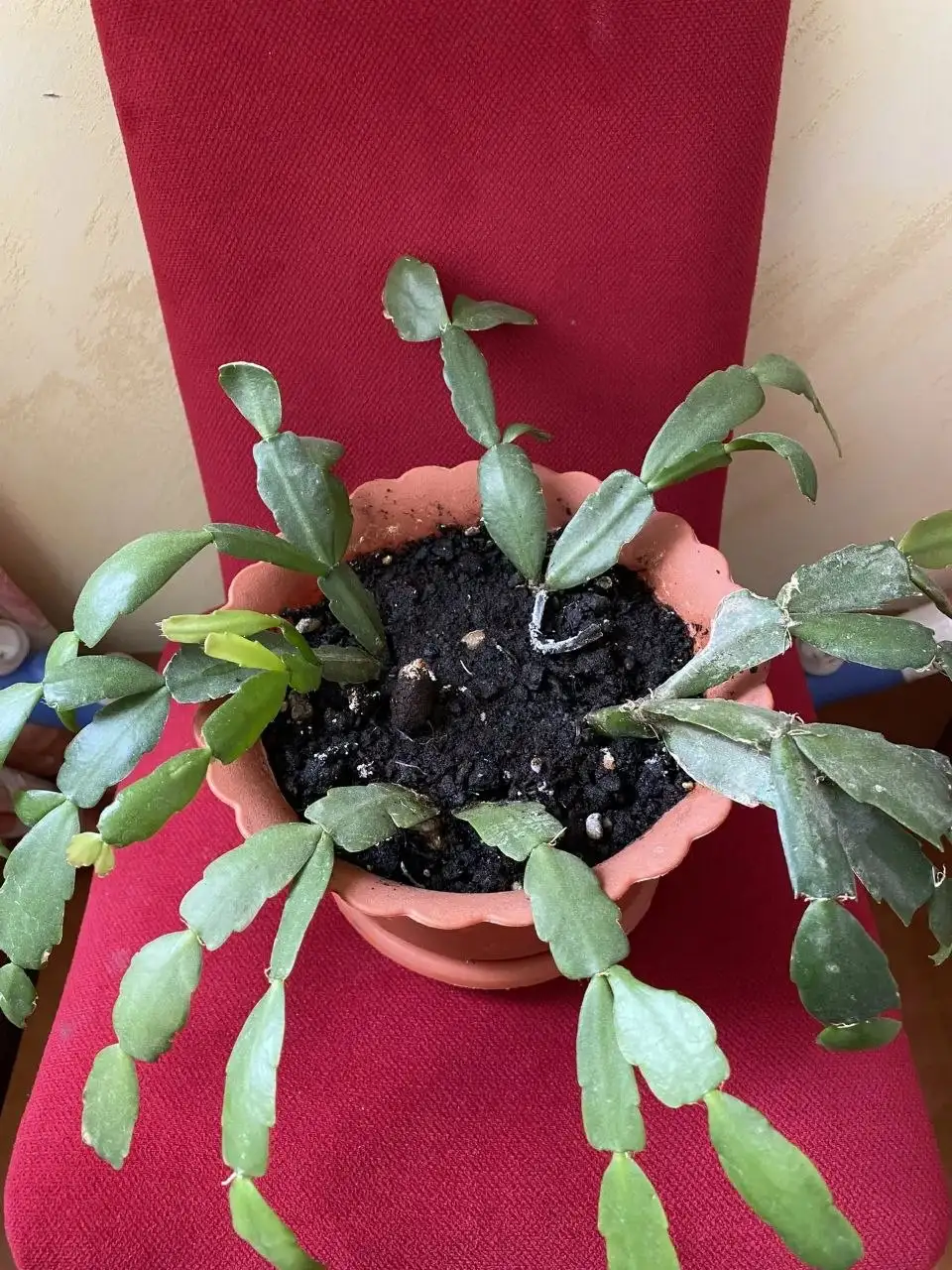 Продажа различных товаров в Дрожжино - Барахолка в Дрожжино