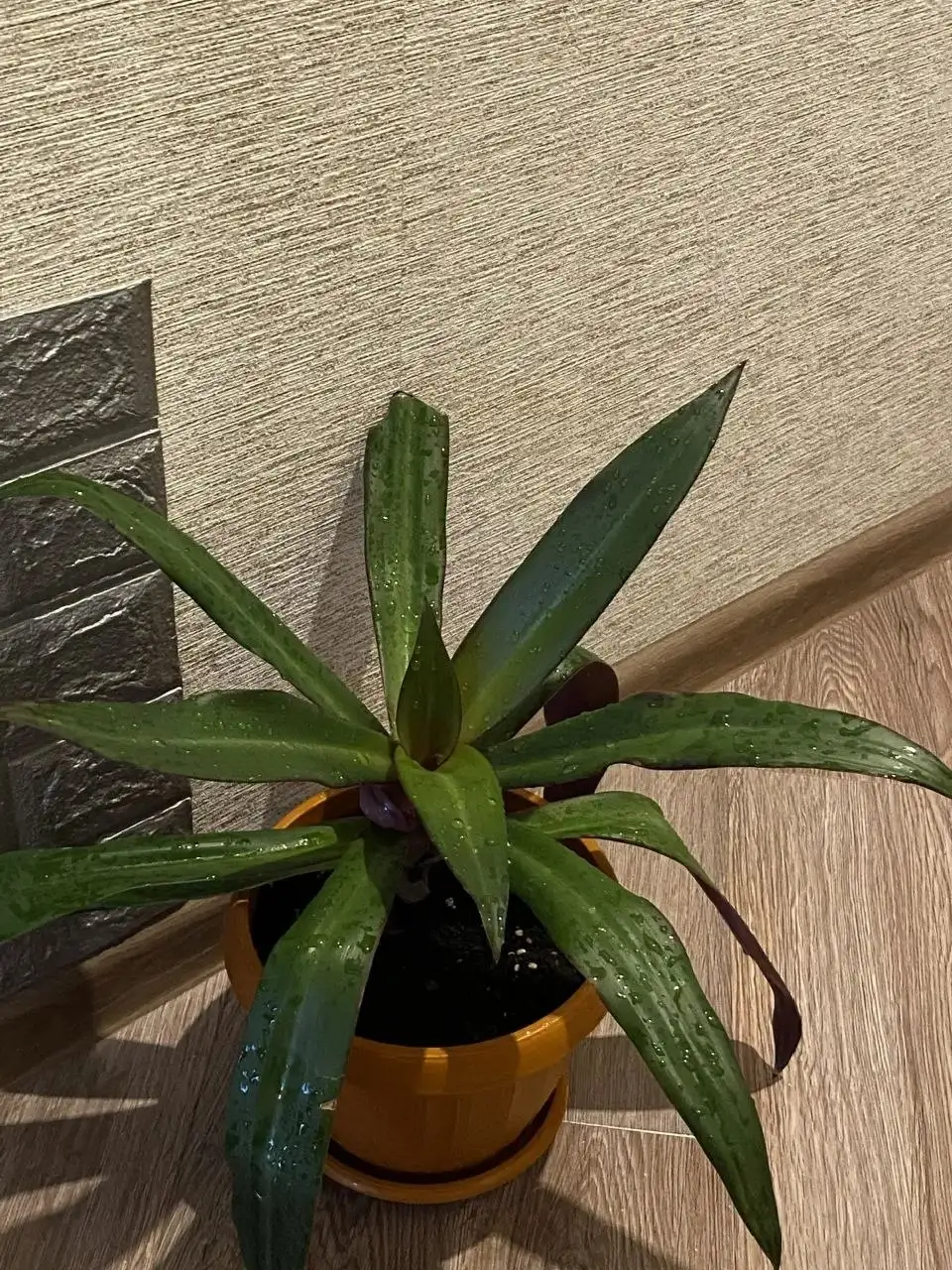 Продажа различных товаров в Дрожжино - Барахолка в Дрожжино