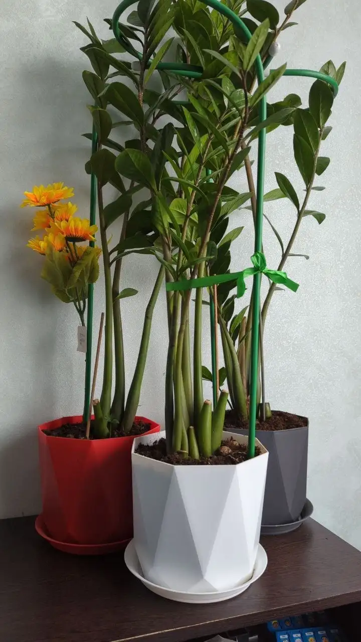 Опора для цветов металлическая - Садовый инвентарь (Для дома и дачи) в Подольск