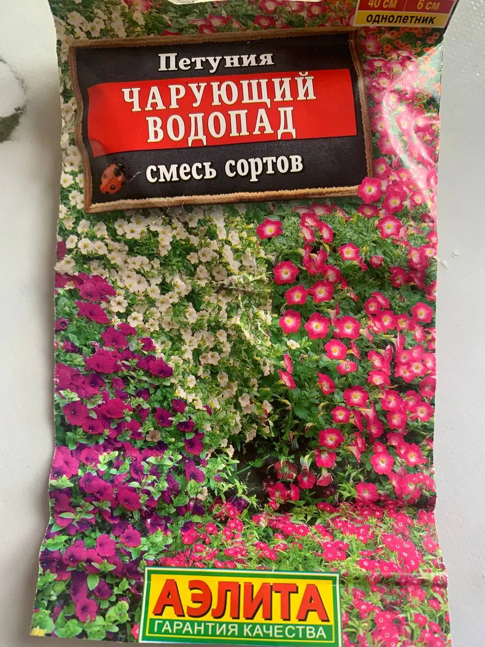 Рассада петунии смесь сортов - Рассада и саженцы в Щербинка