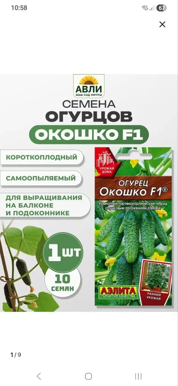 Огурчики и черри для выращивания на подоконнике - Растения (Хобби и отдых) в Москва