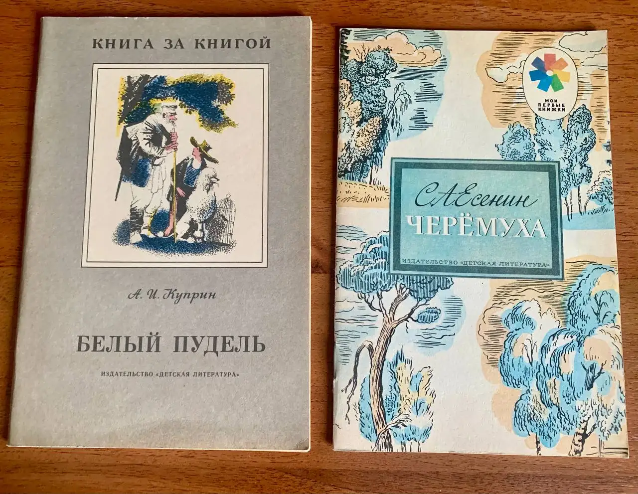 Книги СССР 1989 года - Книги (Хобби и отдых) в Неизвестно