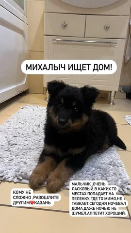 Объявление из чата Барахолка Казань - Услуги в Казань