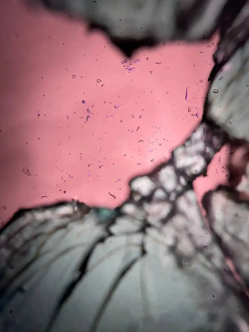 Продажа iPhone 12 256 ГБ белый