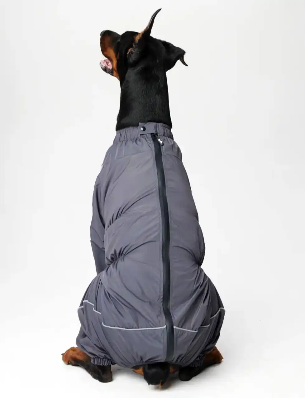 Комбинезон для собаки крупной породы