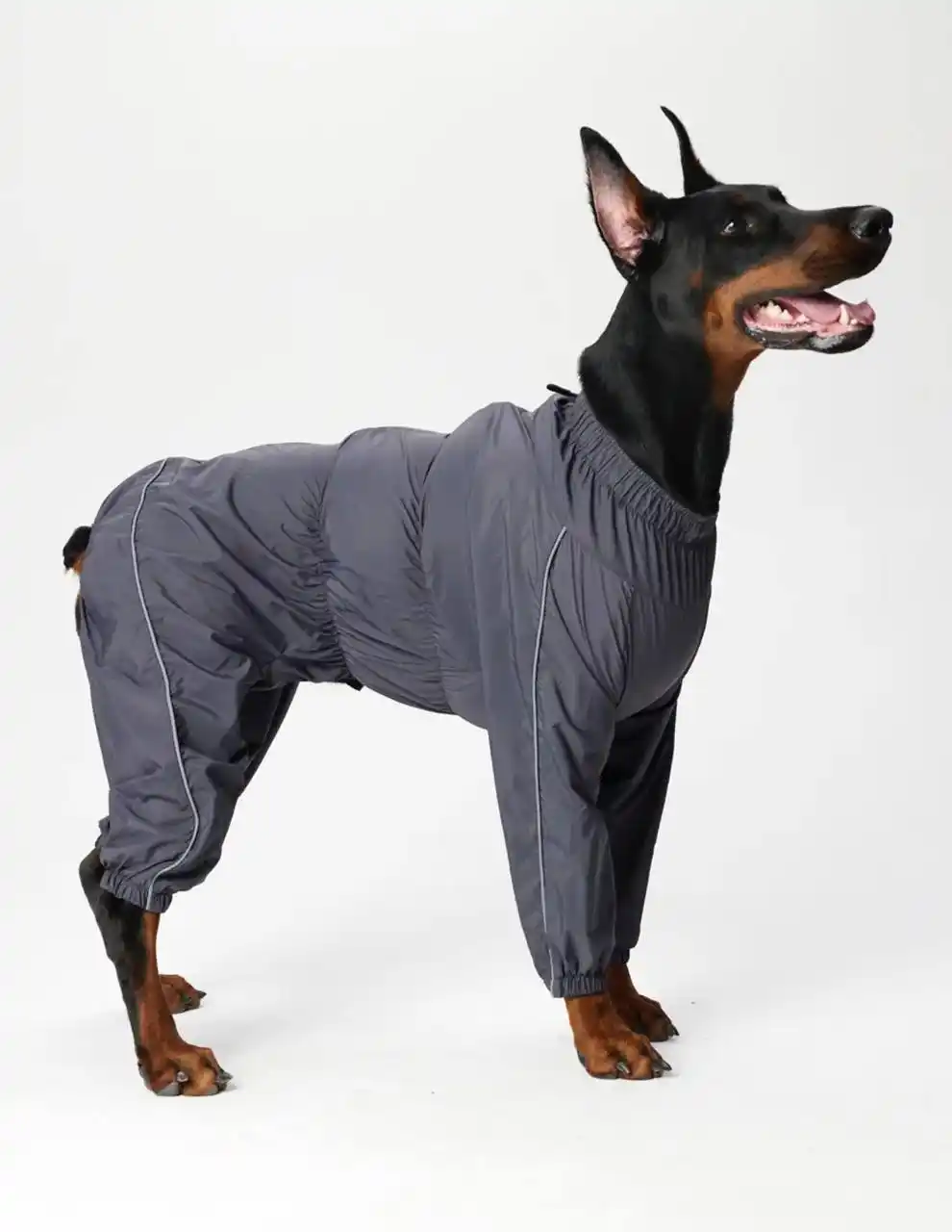 Комбинезон для собаки крупной породы