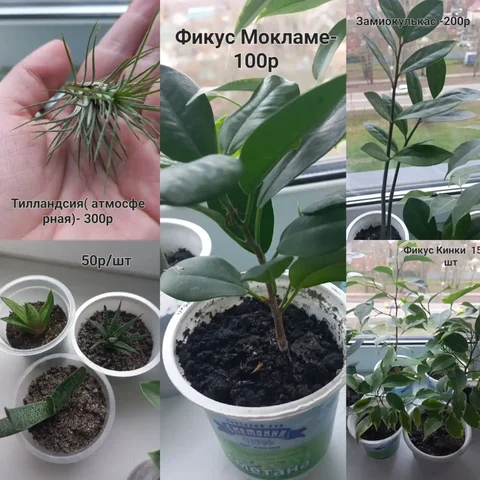 Товары в ЖК Алхимово - Для дома и дачи в Подольск