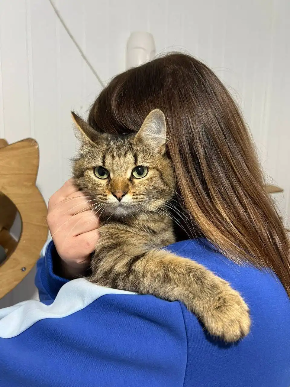 Белка, 1,5 года, ищет дом