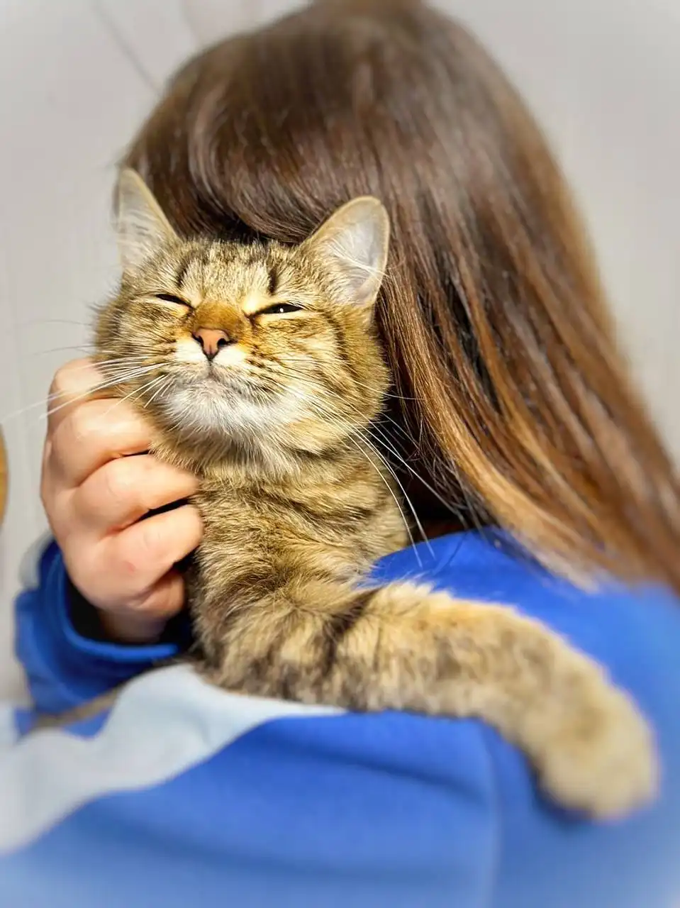 Белка, 1,5 года, ищет дом