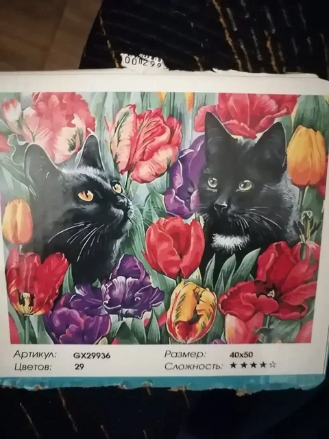 Картины по номерам с высохшими красками - частное объявление в Мытищи