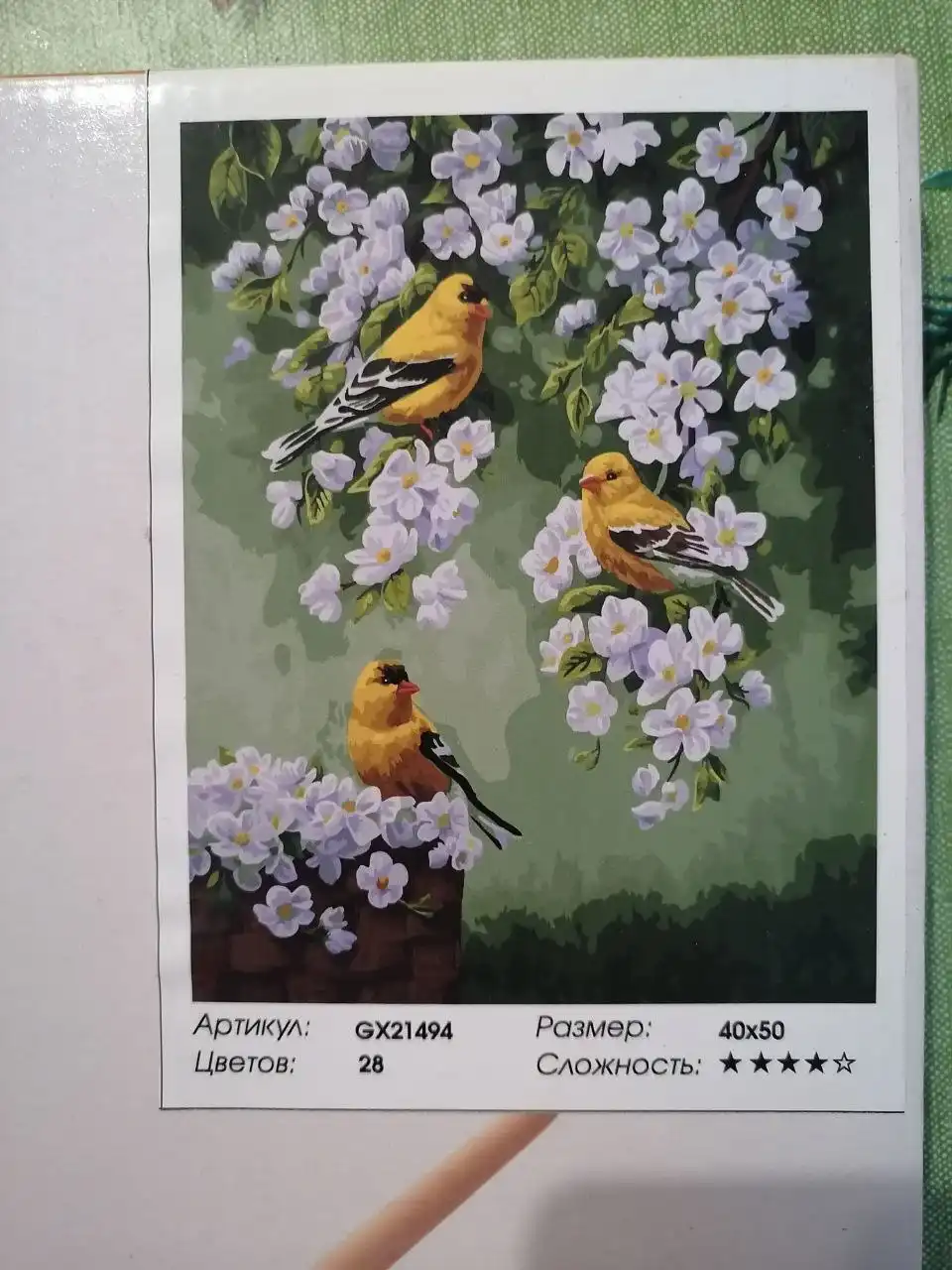 Картины по номерам с высохшими красками - Картины по номерам (Хобби и отдых) в Мытищи