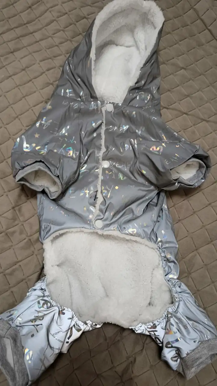 Комбинезон для собаки 43 см - Одежда для животных (Животные) в Мытищи