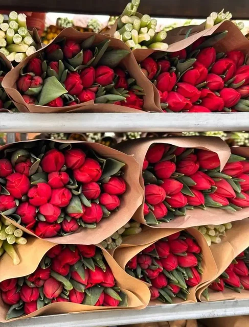 Продажа голландских тюльпанов к 8 марта - Ножи и инструменты в Мытищи