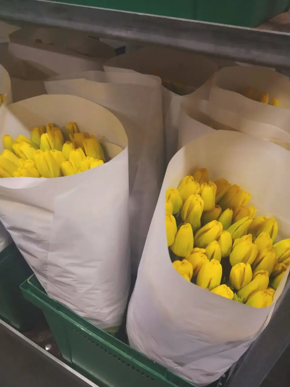 Тюльпаны к 8 марта с доставкой - Цветы (Барахолка) в Мытищи