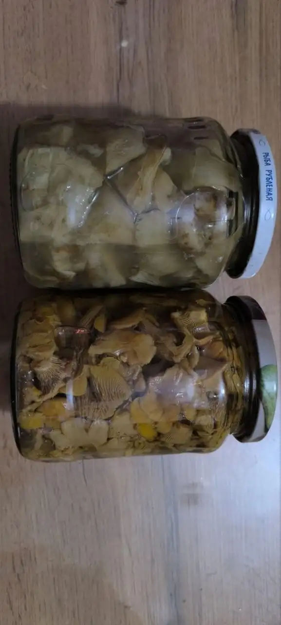 Продажа соленых грибов груздей и лисичек - Продукты (Барахолка) в Мытищи