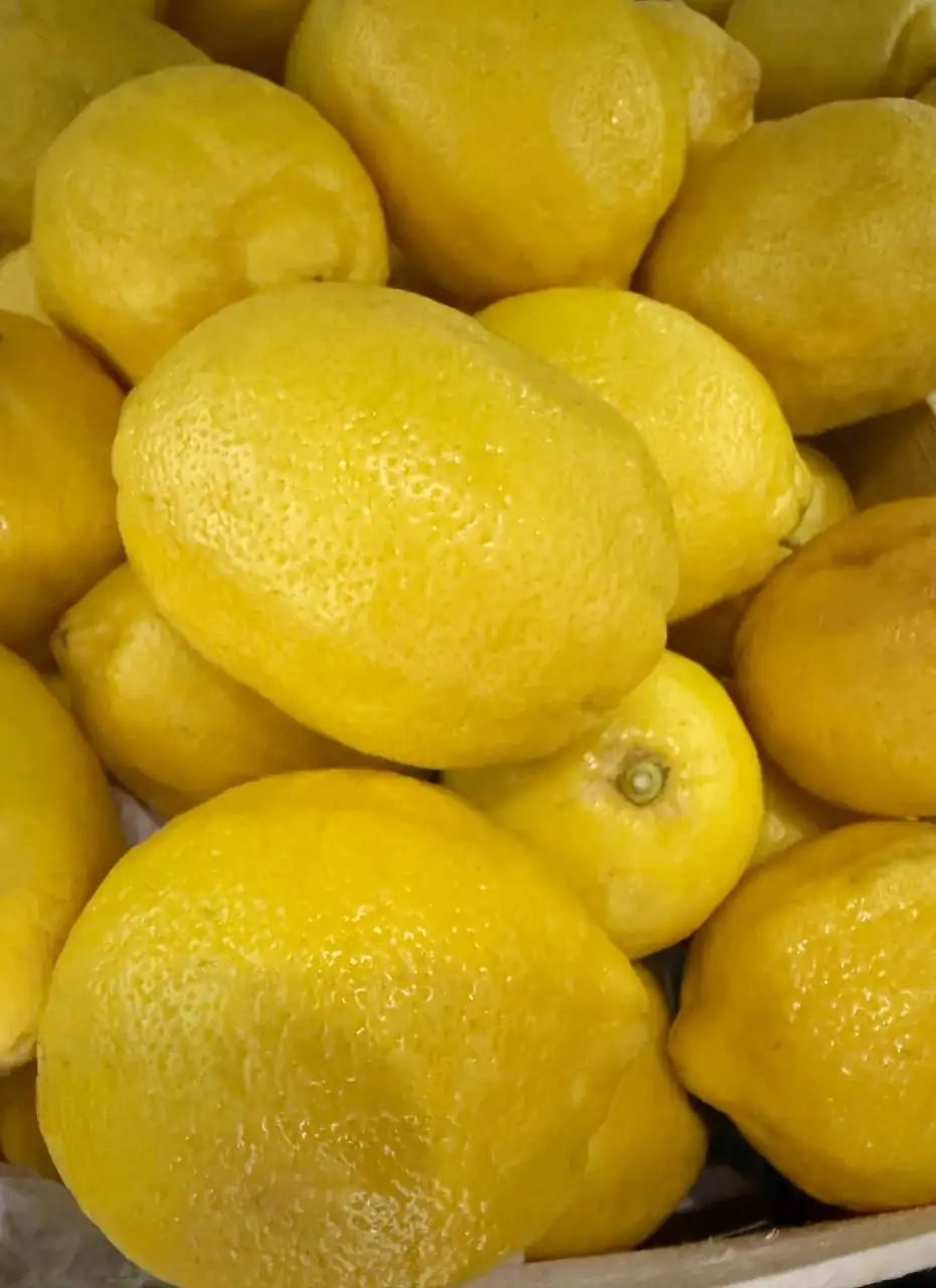 Лимоны Марокко - Продукты питания (Барахолка) в Мытищи
