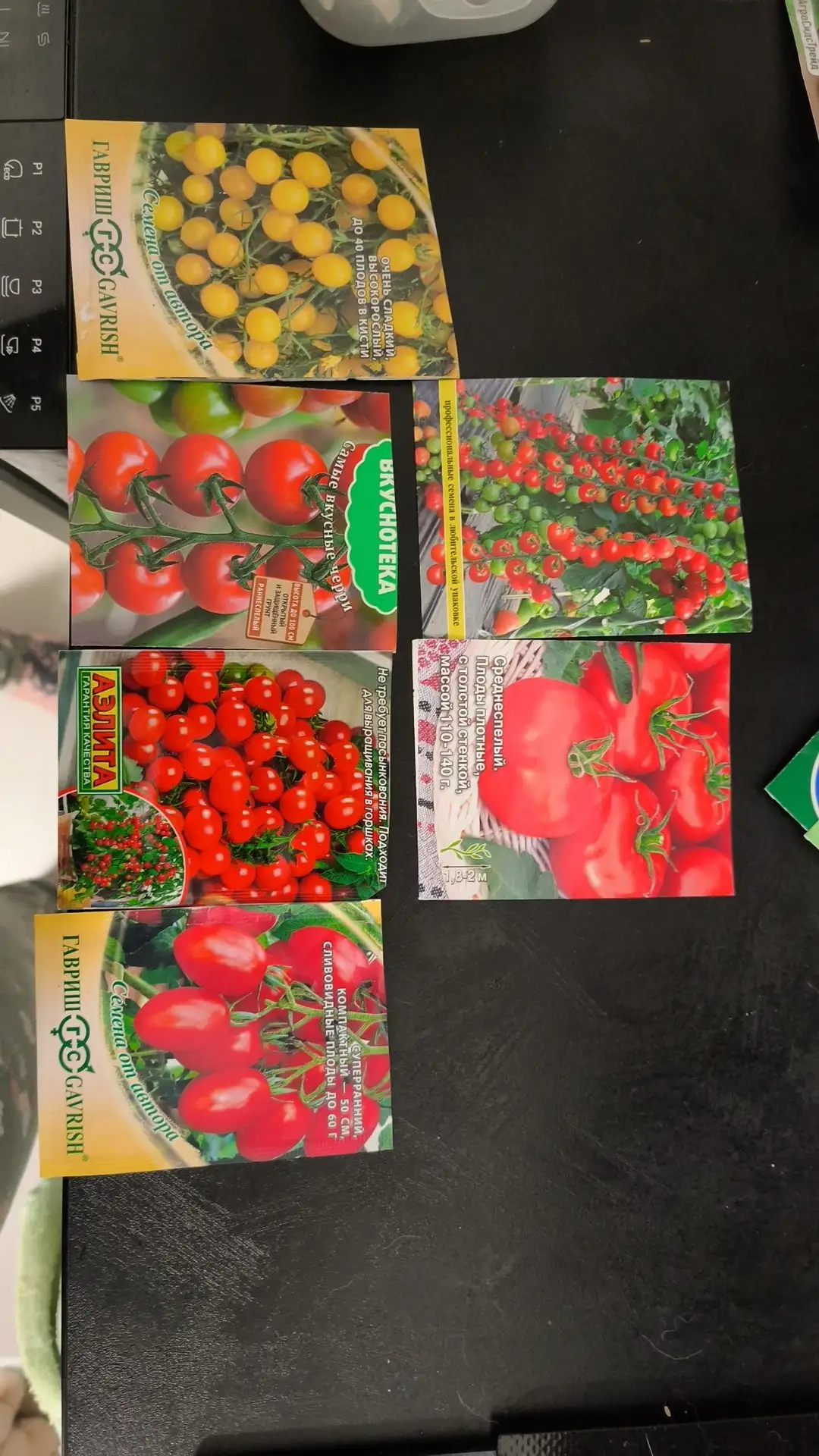 Продажа рассады томатов различных сортов - Растения/рассада (Хобби и отдых) в Мытищи