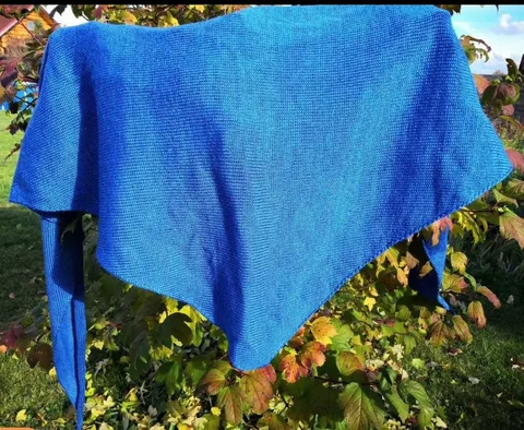 Бактус из полушерстяной белорусской пряжи ручной работы - Топики в Мытищи