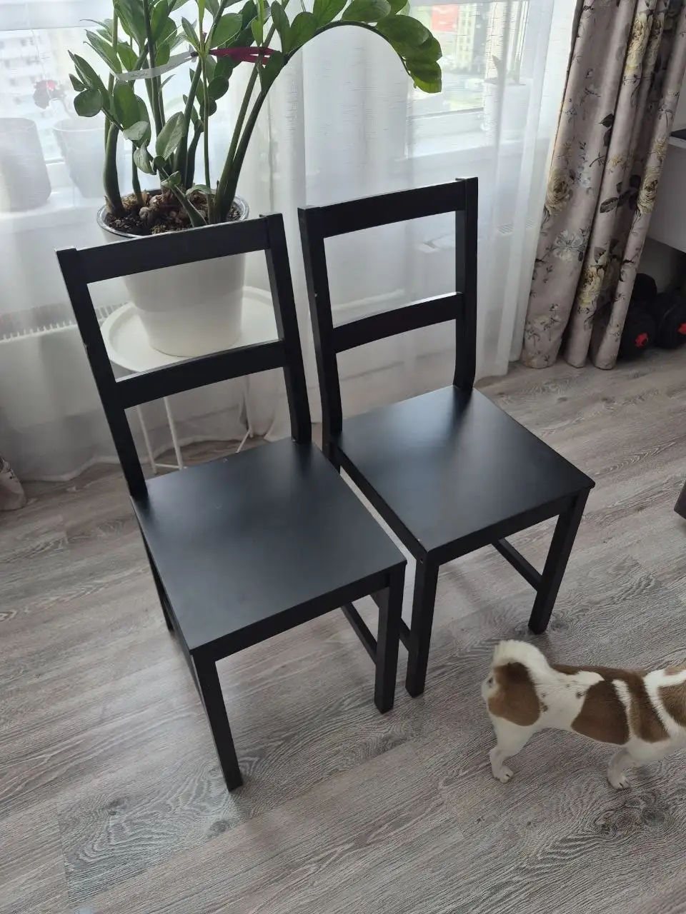 Стулья IKEA - Мебель (Для дома и дачи) в Мытищи