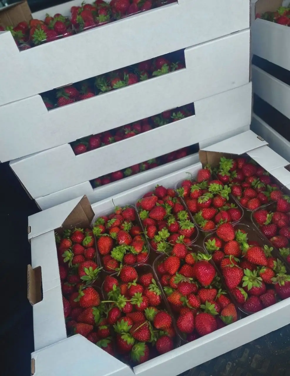 Продажа свежей клубники - Продукты питания в Мытищи
