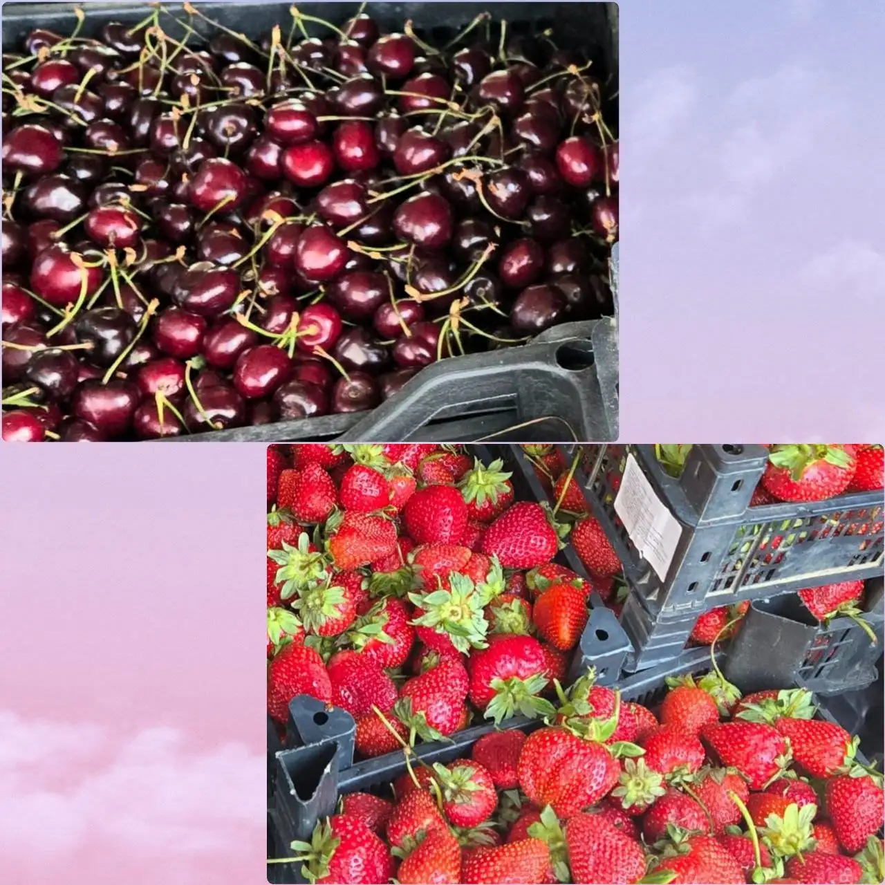 Клубника и черешня, продажа - Фрукты и ягоды (Продукты) в Пирогово