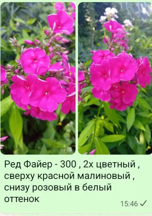 Собственное производство - Услуги в Мытищи