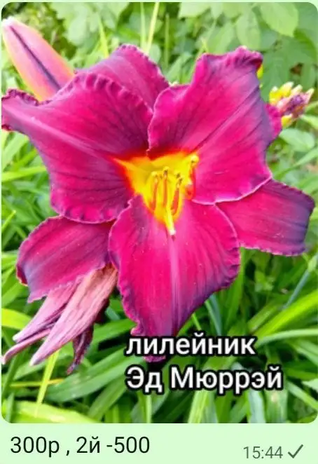 Собственное производство - Услуги в Мытищи