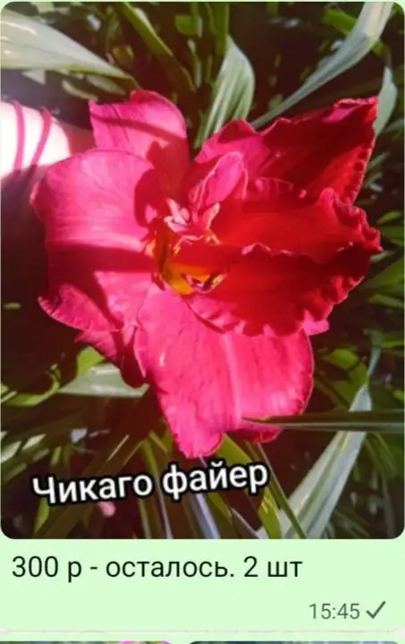 Собственное производство - Услуги в Мытищи