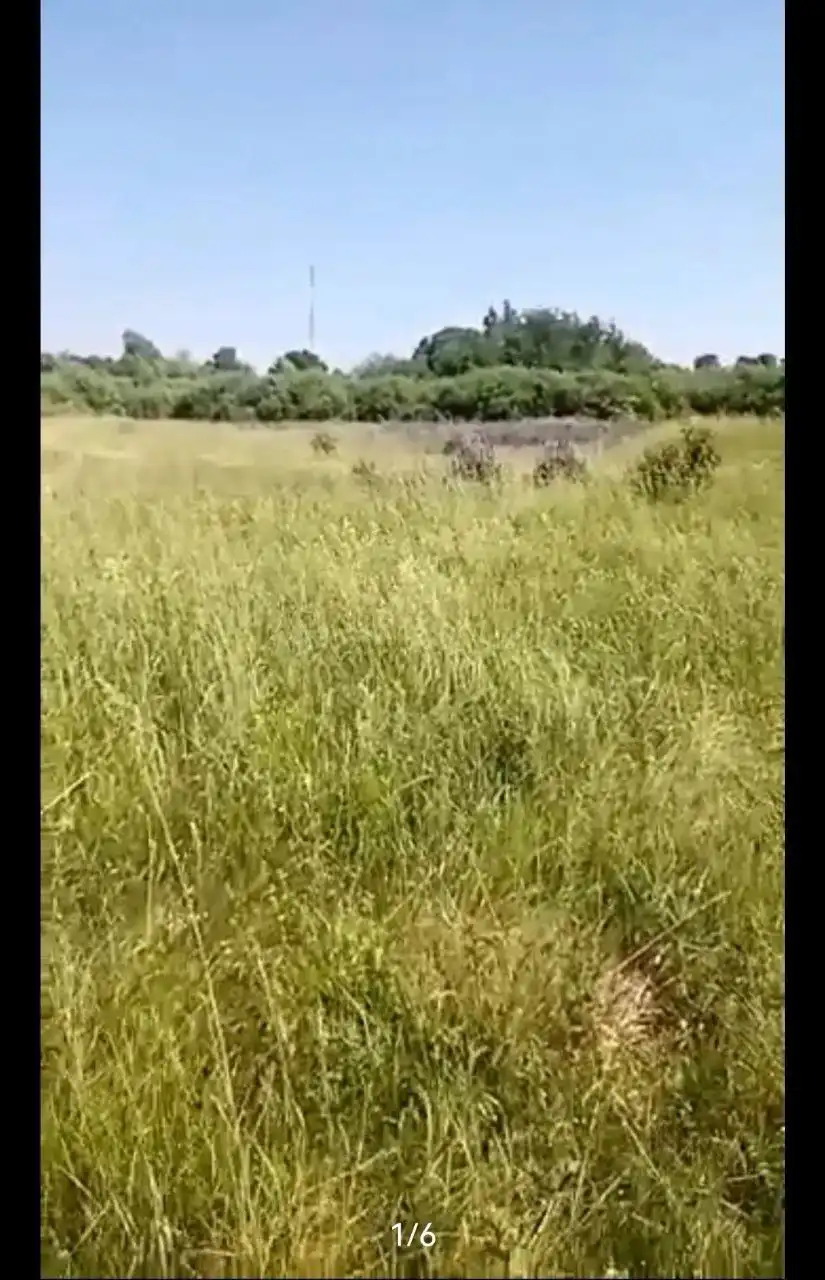 Продажа участка в г. Пионерский