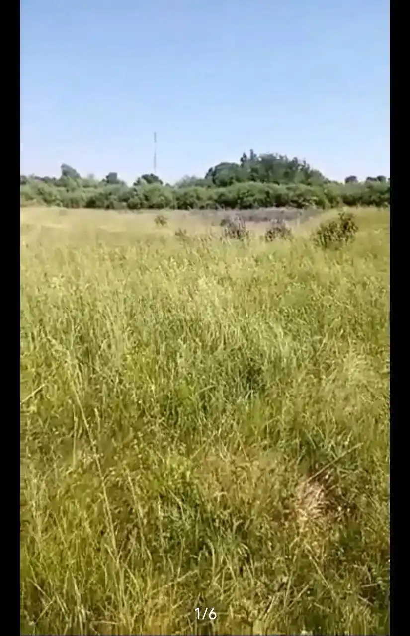 Продажа участка ИЖС в курортном Пионерском - Земельные участки (Недвижимость) в Пионерский