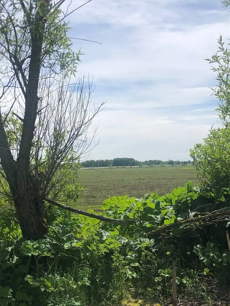 Продажа земельного участка 29.5 га у моря в Светлогорске - Земля (Недвижимость) в Светлогорск