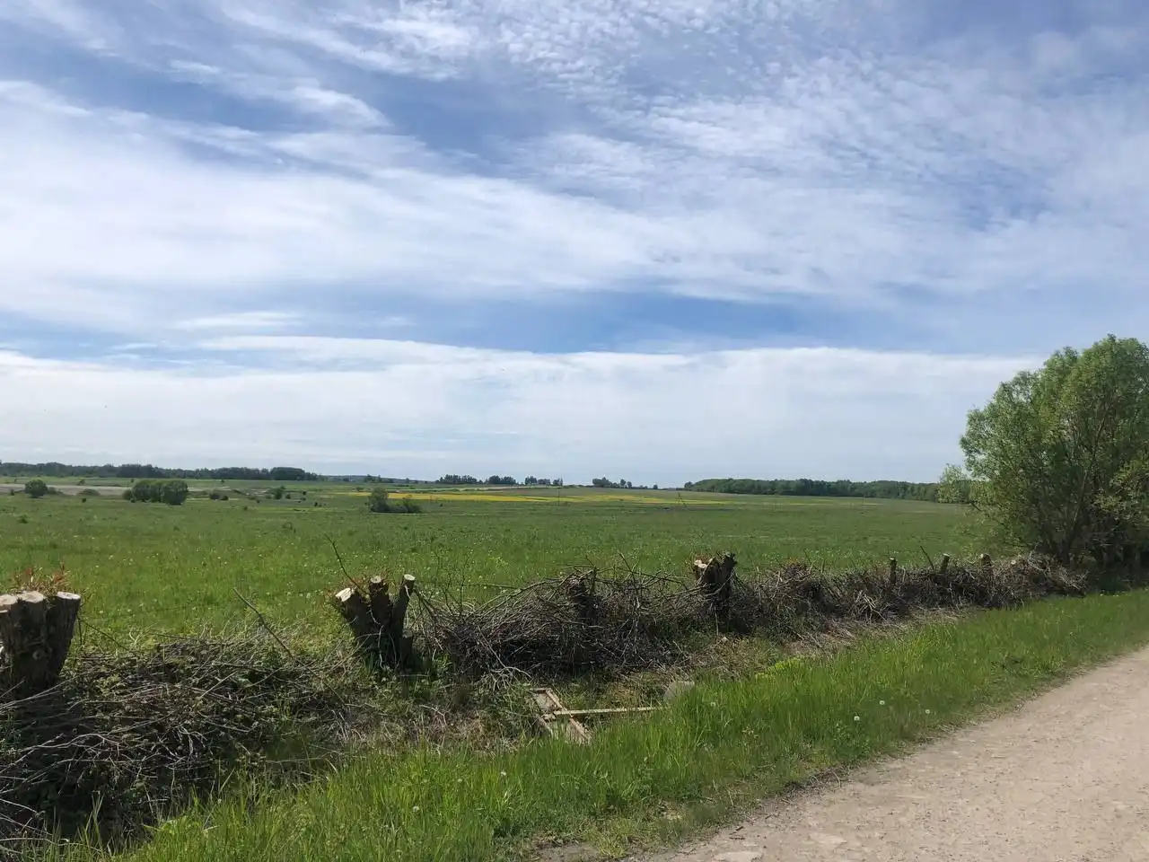 Продажа земельного участка 29.5 га у моря в Светлогорске - Земля (Недвижимость) в Светлогорск