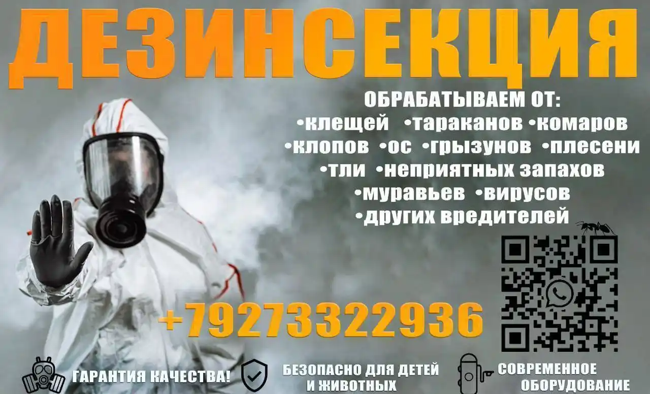 Профессиональная дезинфекция, дезинсекция, дератизация - частное объявление в Уфа