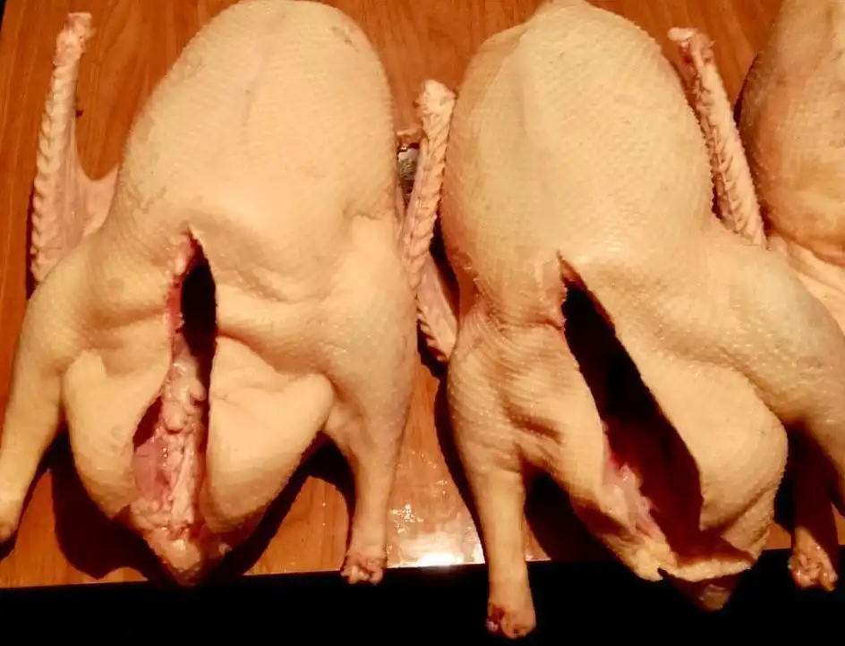 Заказ деревенских гусей