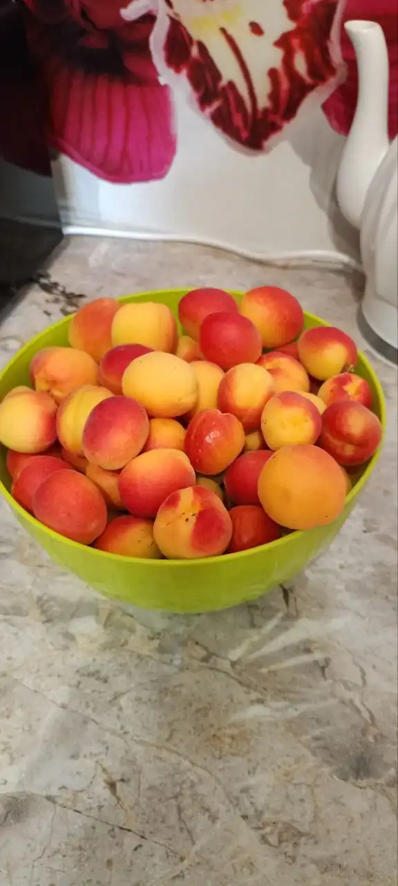 Абрикосовое варенье из садовых абрикосов