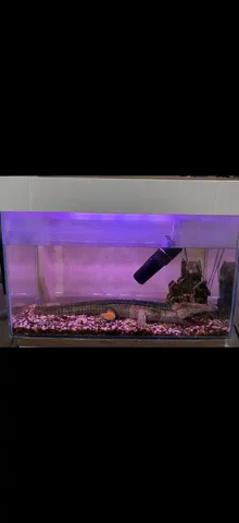 Продам аквариум с рыбками и комплектом - частное объявление в Уфа