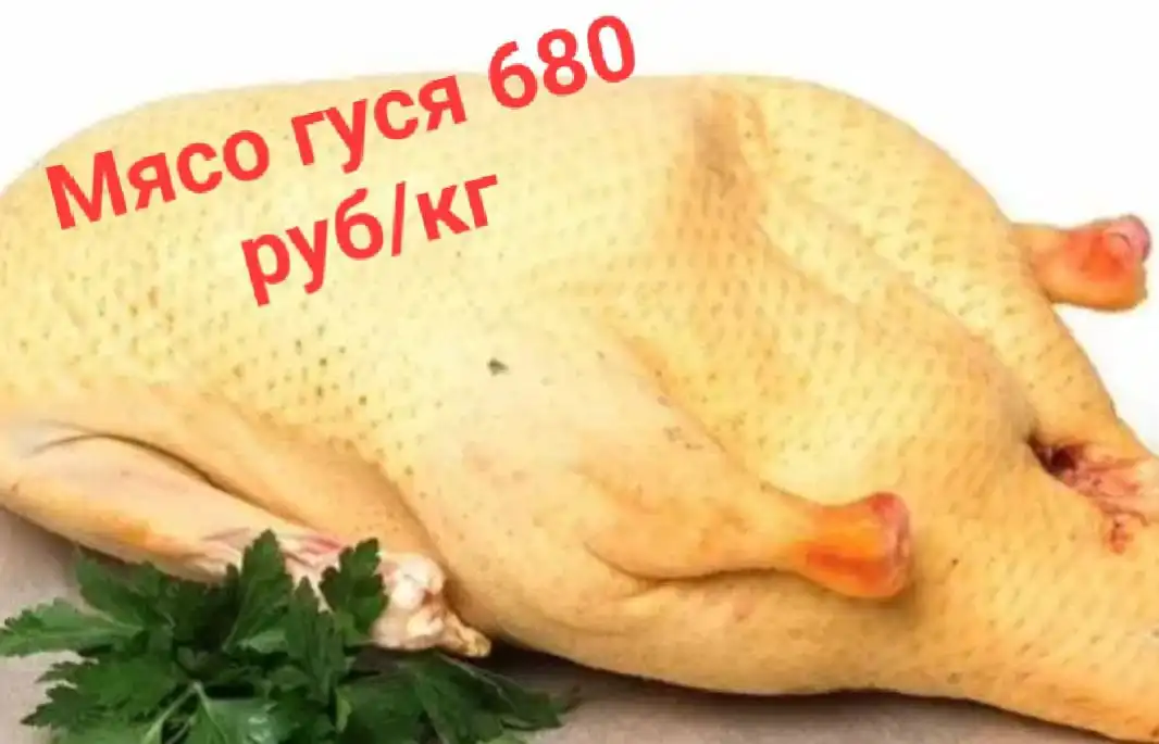 Предзаказ на мясо гуся с подворья