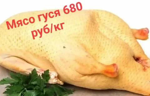 Предзаказ на мясо гуся с подворья - частное объявление в Уфа