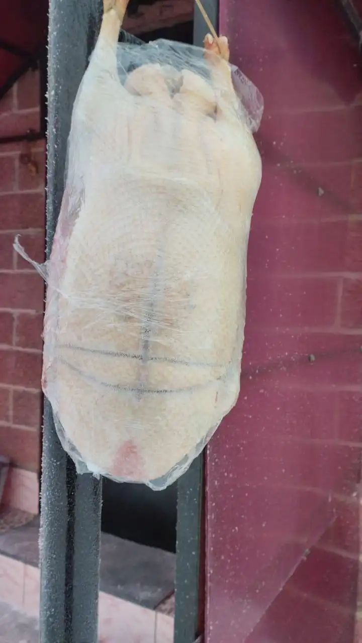 Мясо домашнего гуся