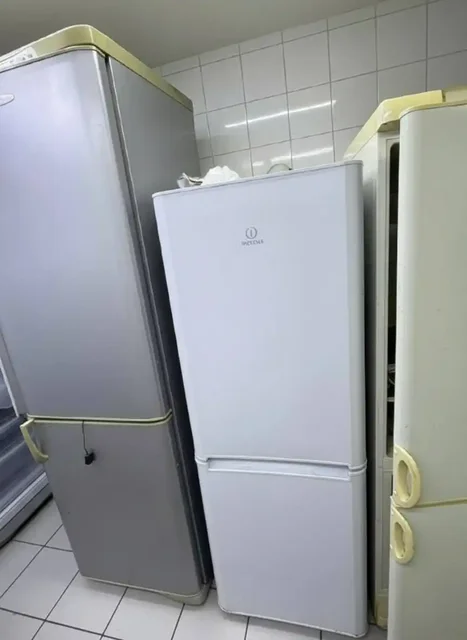 Б/у холодильники в Уфе - Растения в Уфа